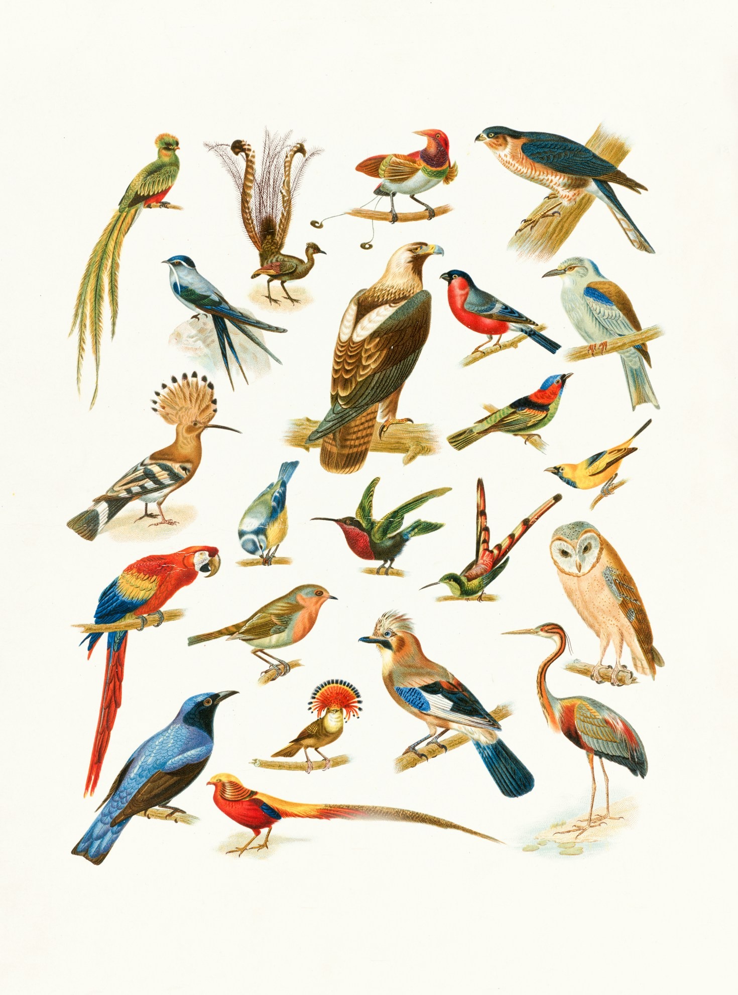 The Future of Illustration: Katie’s Aspirations